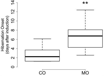 Dietary Lipids Affect the Onset of Hibernation in the Garden Dormouse (Eliomys quercinus): Implications for Cardiac Function